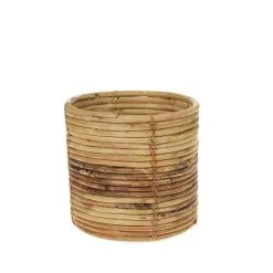 Amanda B AmandaB Rottinkikori