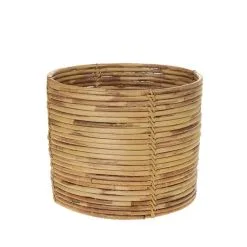 Amanda B AmandaB Rottinkikori