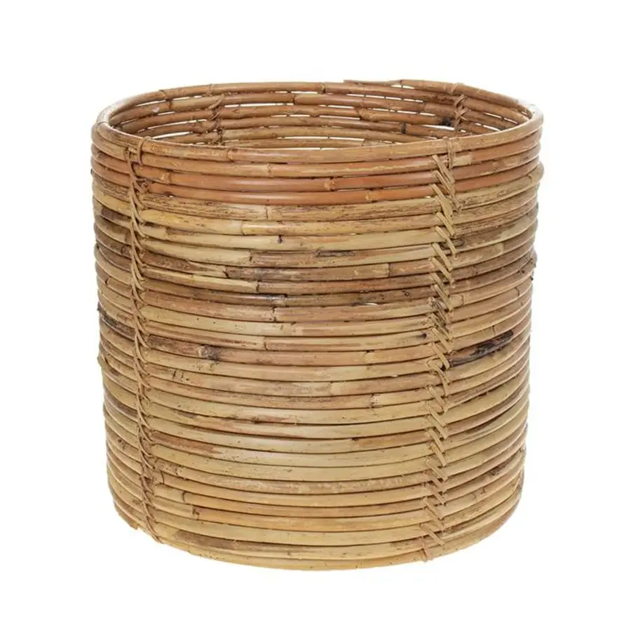 Amanda B AmandaB Rottinkikori 3 Amanda B AmandaB Rottinkikori