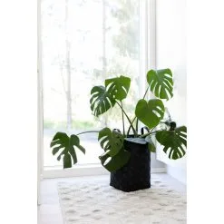 Aina Lastukori -Huonekalut kauppa 6438014270524 3