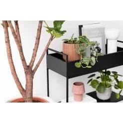 Aina Box Apupöytä -Huonekalut kauppa 6438014292243 5