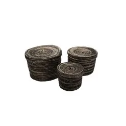 Interstil Plant Kori